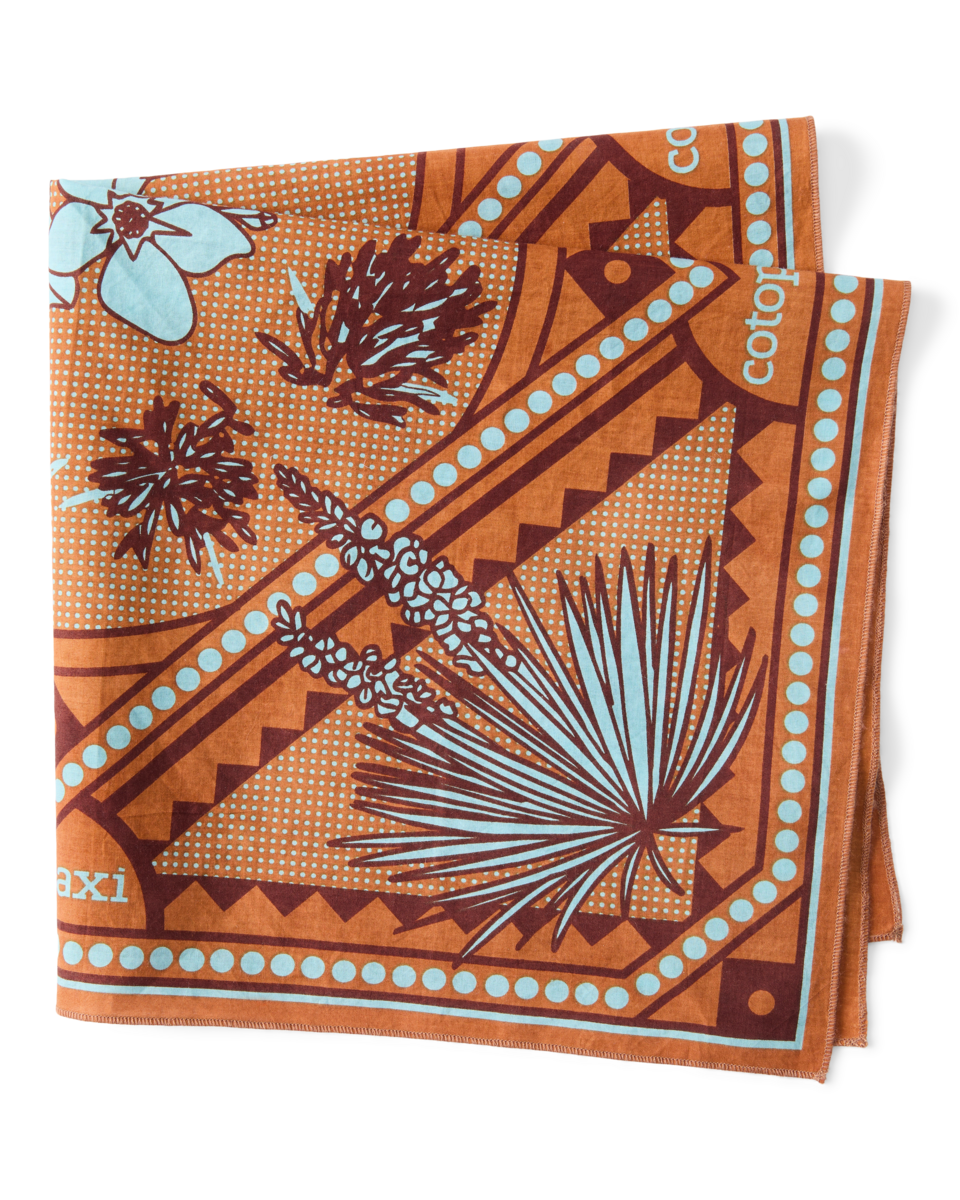 Organic Cotton Bandana